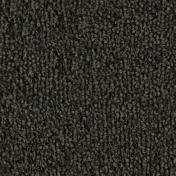 Preview: Vorwerk Safira Teppichboden Farbcode 9G21 – Draufsicht ohne Etikett